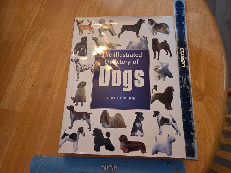 The Illustrated Directory of Dogs by Juliette Cunliffe – 2007 Hardcover