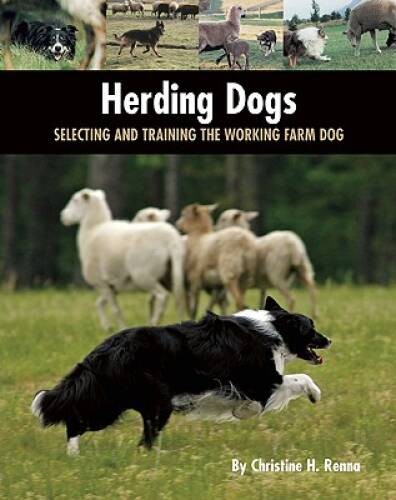 Herding Dogs: Selecting and Training the Working Farm Dog (Country Dog) – GOOD