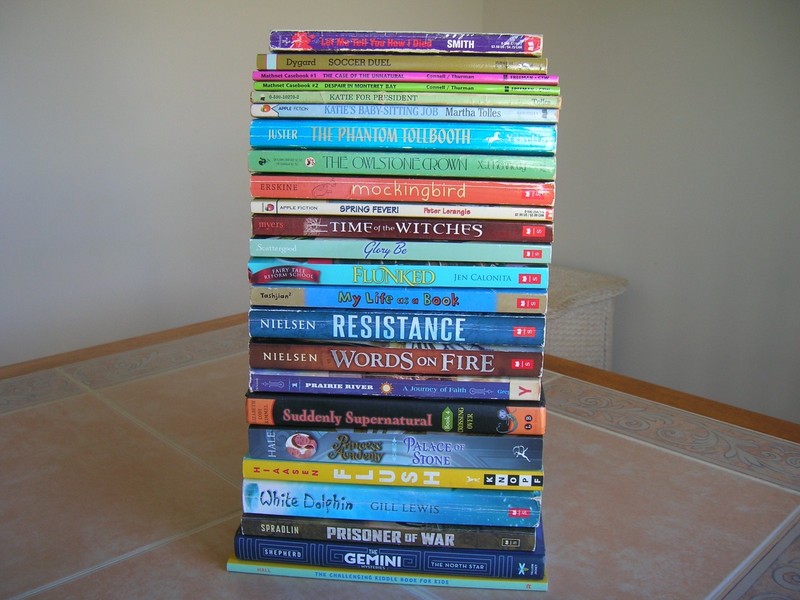 28 RL5 Chapter books lot age 9-12 Teacher Library Girls Boys interest Homeschool