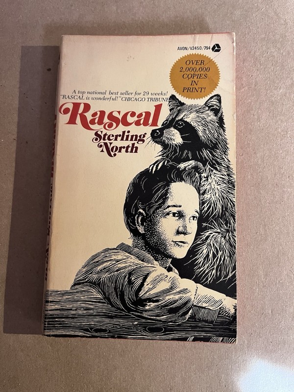 RASCAL by Sterling North vintage 1972 Avon paperback CLASSIC ANIMAL NOVEL