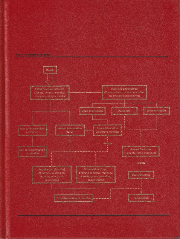 Theories, Models, Methods, Approaches, Assumptions, Results and Findings