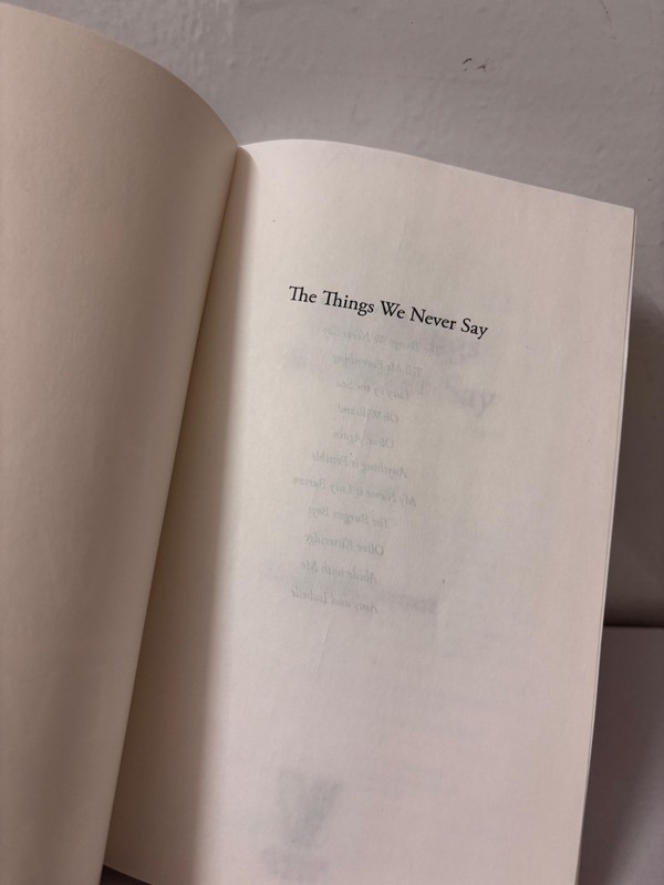 The Things We Never Say by Elizabeth Strout Paperback New Book usa stock gallery