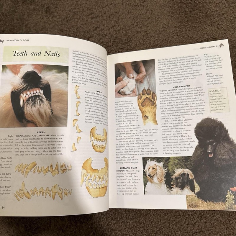 Encyclopedia of Dog Breeds by Juliette Cunliffe 1000 Photos/400 Breeds gallery