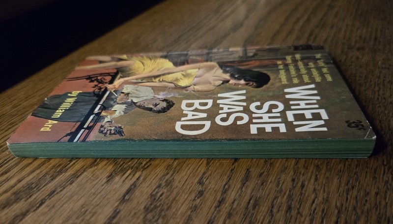 WHEN SHE WAS BAD, William Ard, 1960 1st Edition, Dell Publishing, 192 pages gallery
