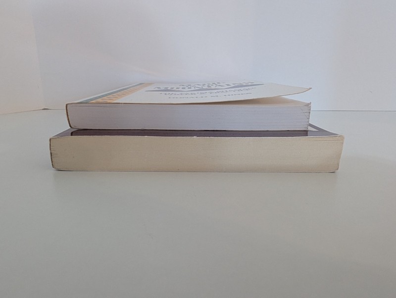 Shamanism 2 Book Lot - The Way of the Shaman and Magic in the Mountains PB gallery