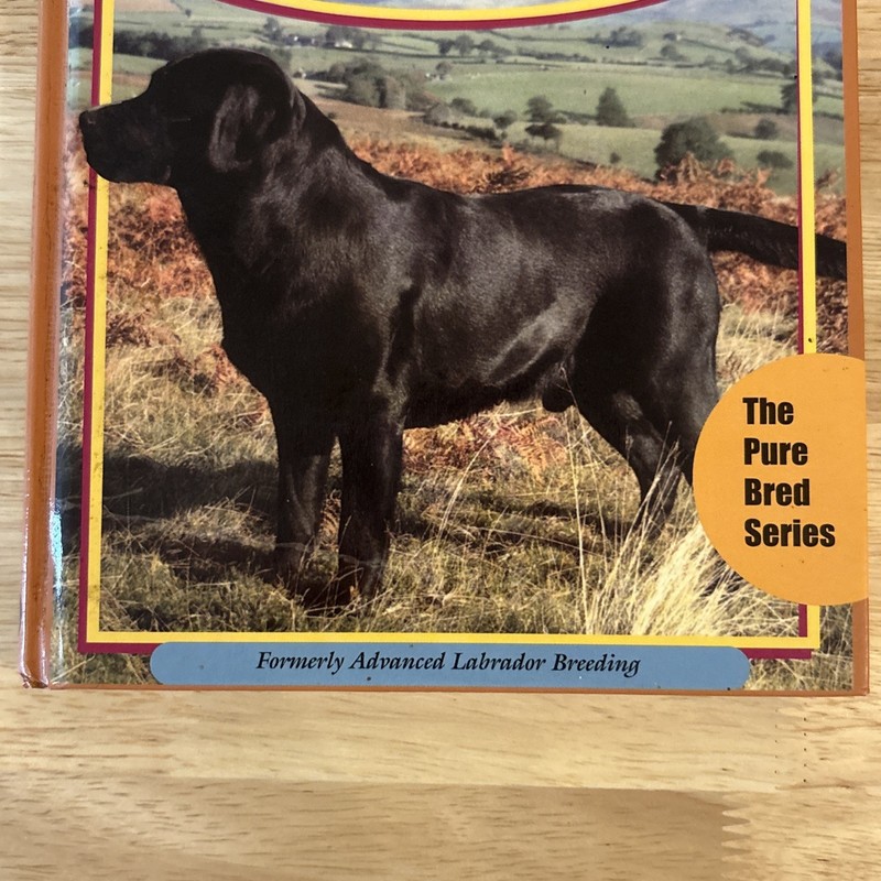 Reaching for the Stars: Labrador Breeding Mary Roslin Williams Ltd Ed gallery