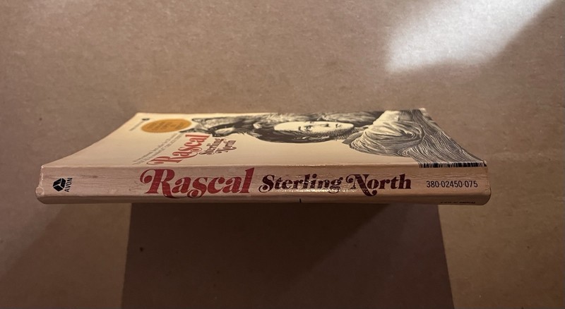 RASCAL by Sterling North vintage 1972 Avon paperback CLASSIC ANIMAL NOVEL gallery