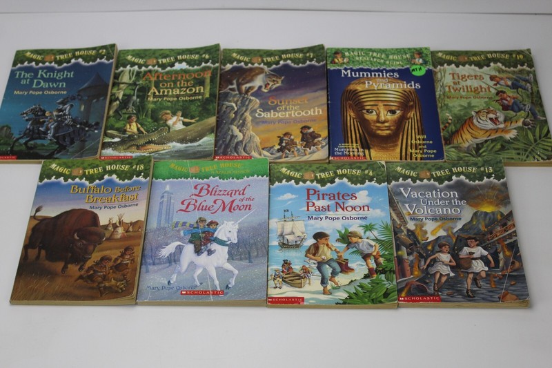 Lot of 9 Magic Tree House + Merlin Missions Paperback Books Read Description