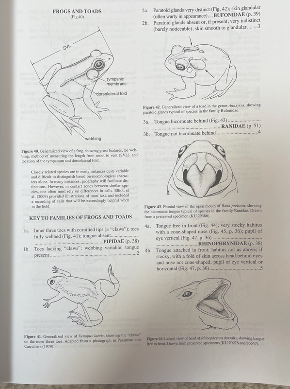 Key to the Herpetofauna of the Continental United States and Canada: 2nd ED. gallery