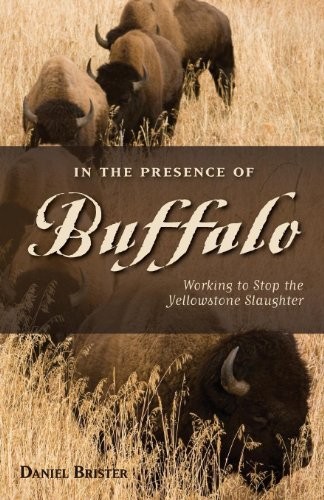 In the Presence of Buffalo: Working to Stop the Yellowstone Slau