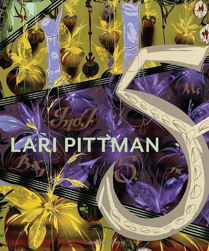 LARI PITTMAN By Robert Storr & Wayne Koestenbaum – Hardcover **BRAND NEW**