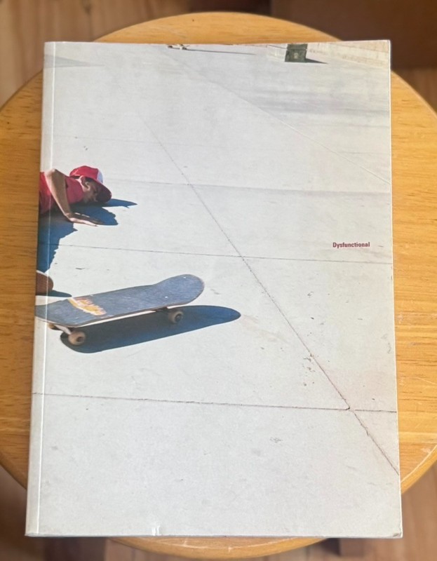 Dysfunctional Skateboarding Book First Edition by Aaron Rose 1999 Big Brother