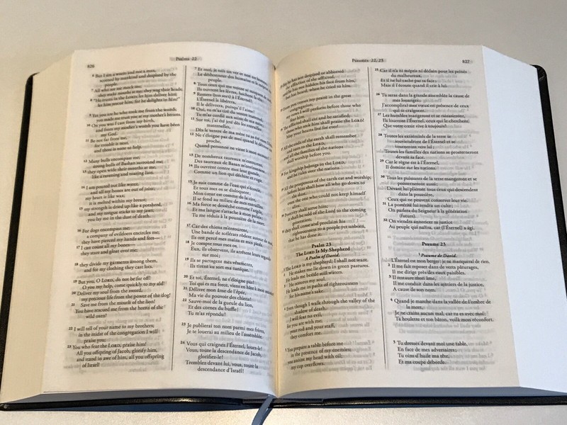 French English Parallel Bible,ESV English Standard,Revised Segond Colombe Black gallery