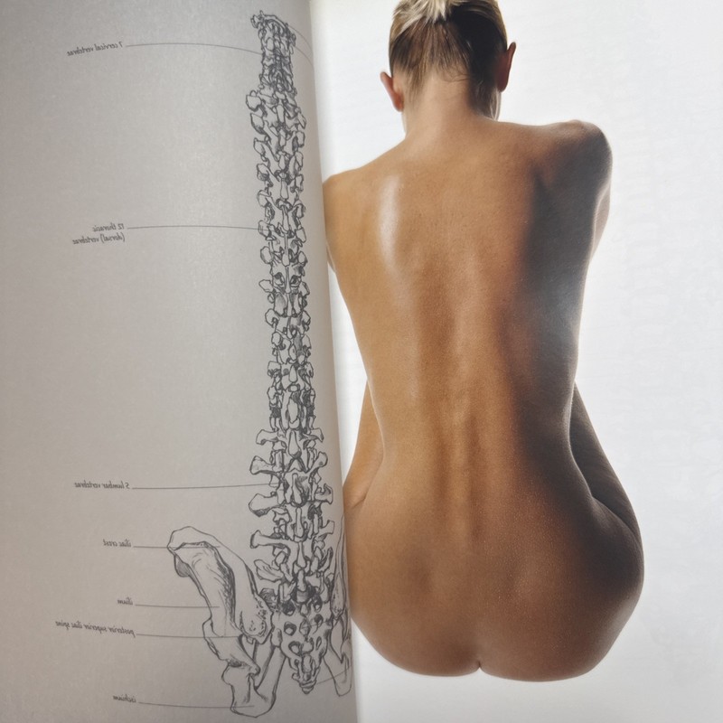 Anatomy for the Artist by Sarah Simblet (2001, Hardcover) gallery