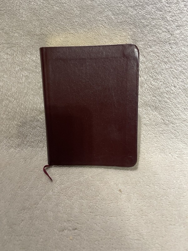 Daily Light Devotional by Samuel Bagster (Burgundy Leather) 1998 - Anne Lotz gallery