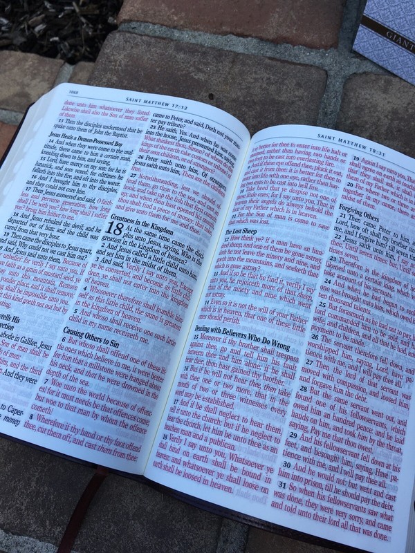KJV Giant/Large Print Bible Red Letter ~ Beautiful ribbed cover ~thumb-indexed gallery