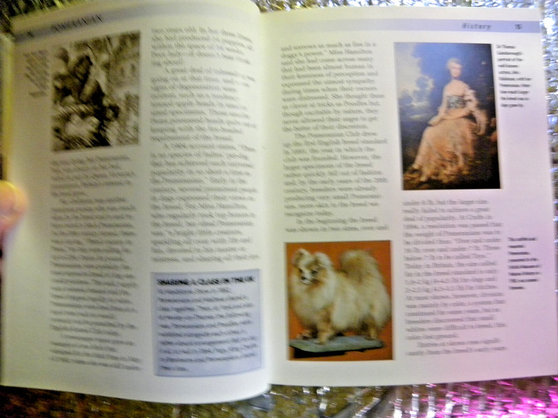 Pomeranian Hardcover Juliette Cunliffe 2005 Dog Owners Guide Book FREE SHIPPING gallery