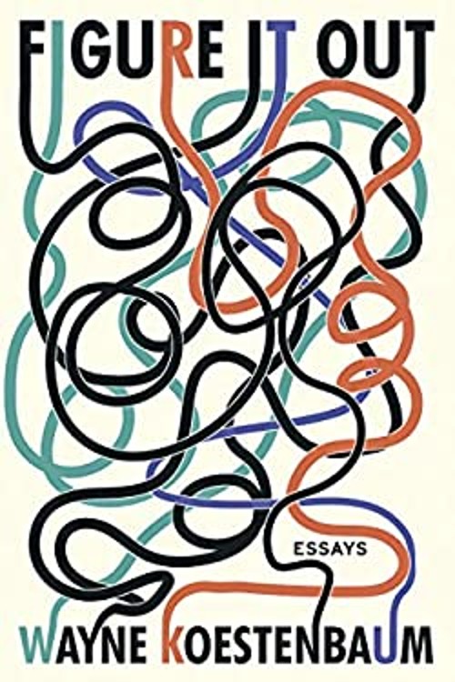 Figure It Out : Essays Paperback Wayne Koestenbaum