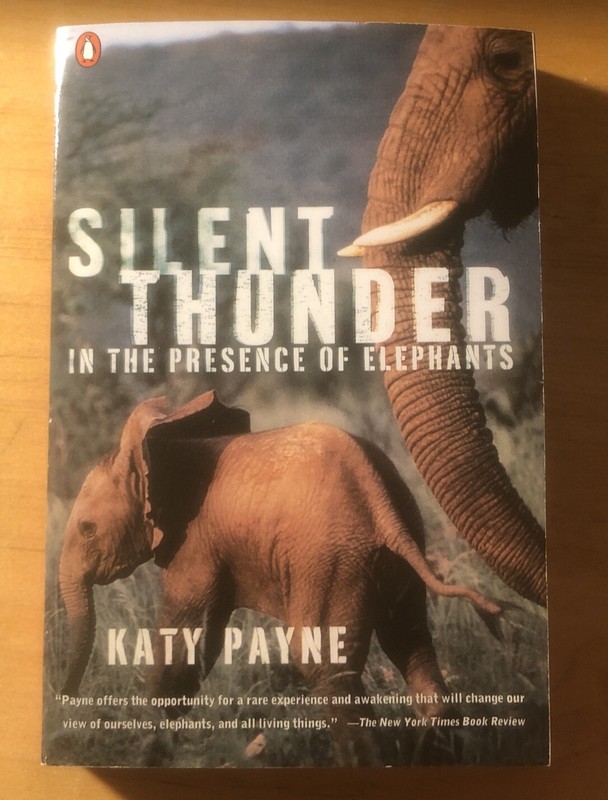 Silent Thunder : In the Presence of Elephants by Katy Payne (1999, Paperback)