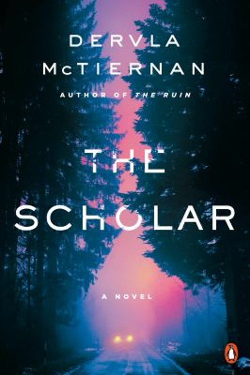 The Scholar : A Novel Paperback Dervla McTiernan