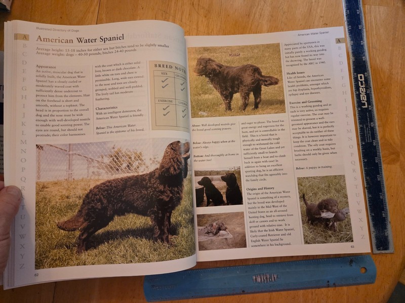 The Illustrated Directory of Dogs by Juliette Cunliffe - 2007 Hardcover gallery