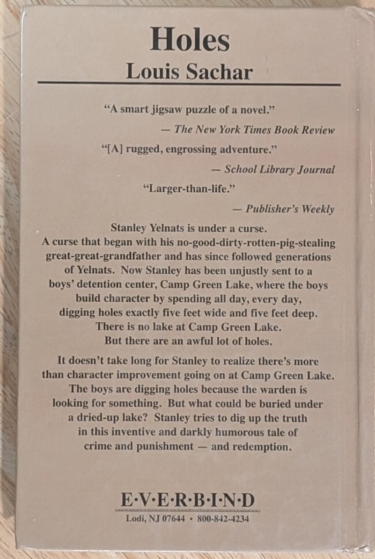 Holes by Louis Sachar, Newbery Medal, Paperback, Everbind Hard Library Binding gallery