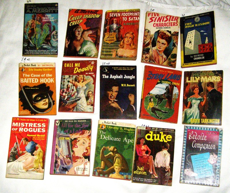 Lot 15 Vintage Mystery Pulp Paperback Hammett Chandler Gardner Merritt Burnett