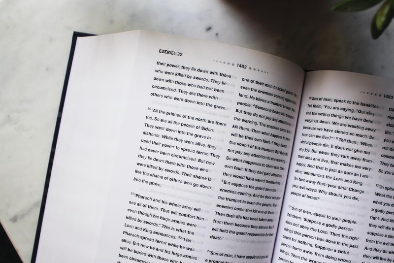 NIrV, Clear Focus Bible, Hardcover, Charcoal/Blue: Read more of the Bible... gallery