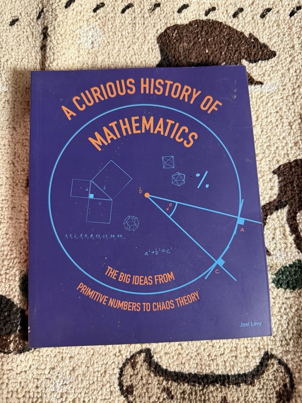 A Curious History of Mathematics by Joel Levy Paperback Popular Science Book