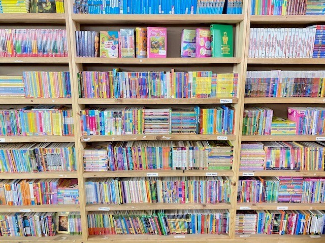 Lot of 30 kids young instant library chapter books bundle paperback - GOOD gallery