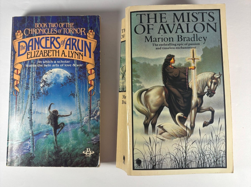 14 Vintage Paperbacks - Fantasy, Sword & Sorcery, Heroic Adventure Lot gallery