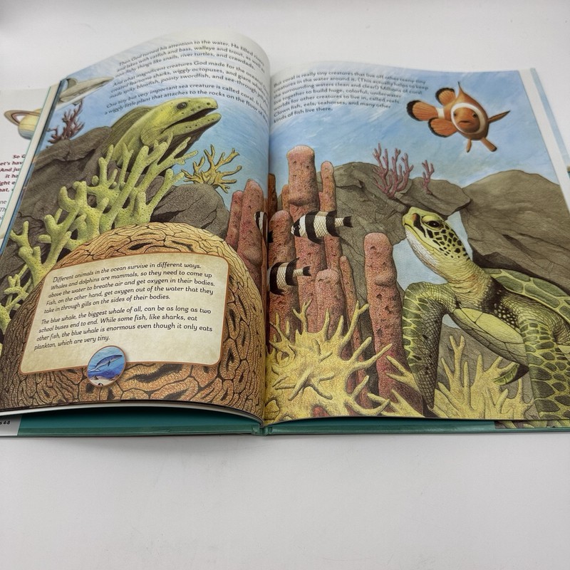 The Things God Made: Explore God’s Creation through the Bible, Science, and Art gallery