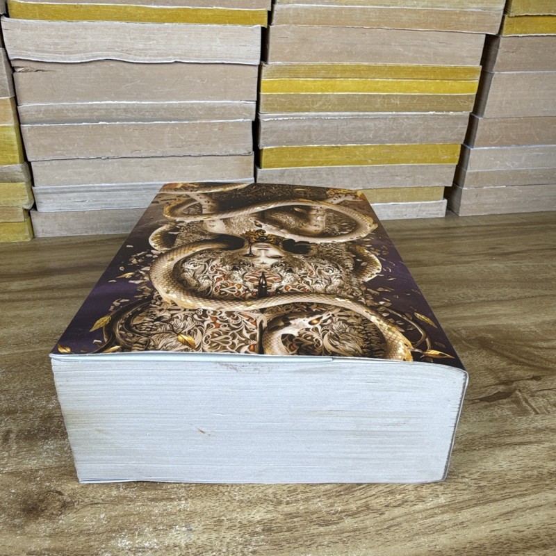 House of Flame and Shadow Barnes and Noble Exclusive Edition Paperback gallery