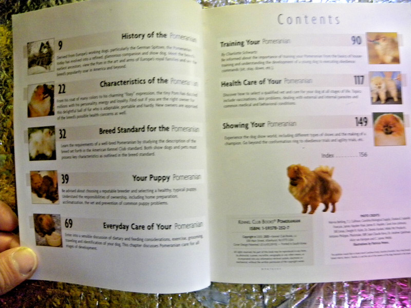 Pomeranian Hardcover Juliette Cunliffe 2005 Dog Owners Guide Book FREE SHIPPING gallery
