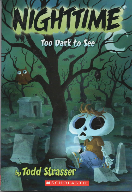 NIGHTTIME TO DARK TO SEE Scholastic Books Todd Strasser 2008