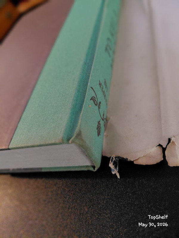 1961 To Kill a Mockingbird by Harper Lee Early Lippincott Printing w/Dust Jacket gallery