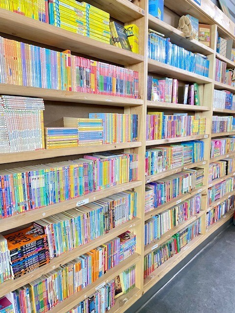 Lot of 30 kids young instant library chapter books bundle paperback - GOOD gallery