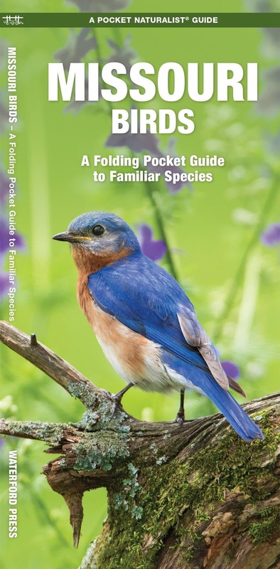 Missouri Birds (Nature Observation North America)