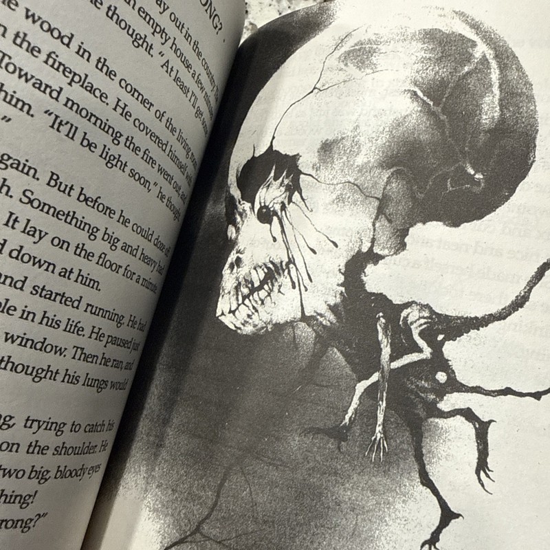 Scary Stories to Tell in the Dark Book Set 1 2 3 By Alvin Schwartz gallery