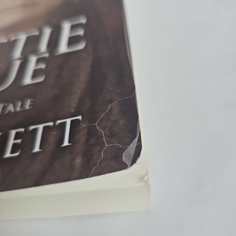 Hattie Blue: A Fugitive's Tale by RW Bennett G-VG - Fast Shipping gallery