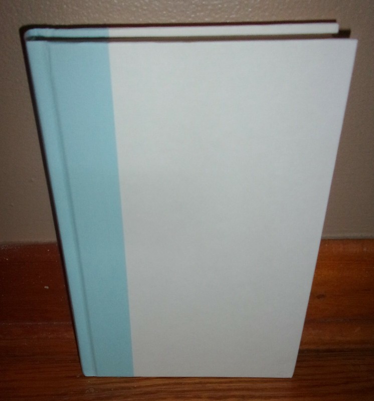 9 1/2 NARROW-My Life in Shoes-Patricia Morrisroe-BRAND NEW 1st Printing HC w/DJ! gallery