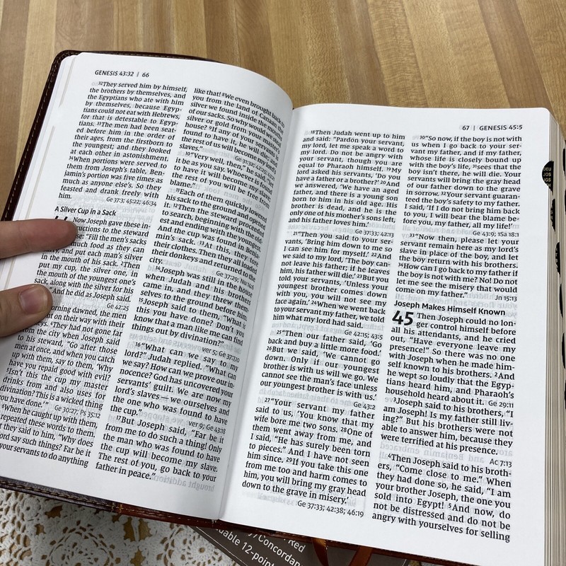 NIV Large print Reference Bible - 12 point font - Red letter - Thumb-indexed gallery
