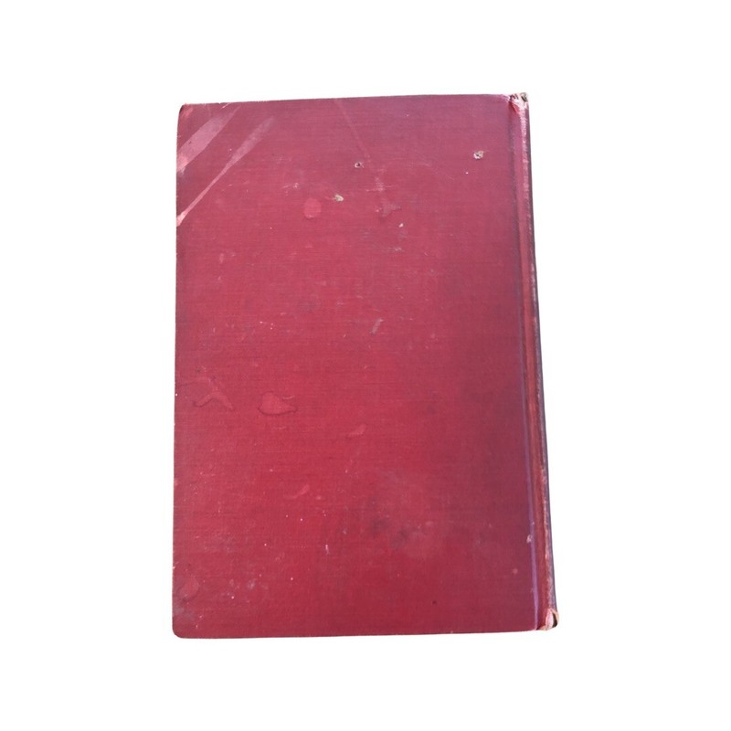 A Circuit Rider's Widow First Edition 1916 Ciera Harris Walter H. Everett gallery