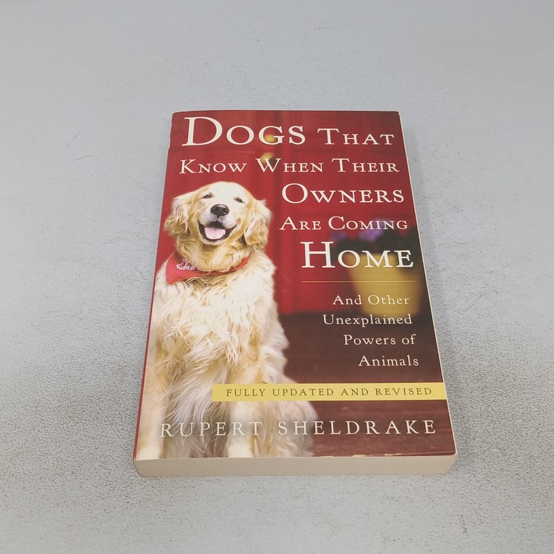 Dogs That Know When Their Owners Are Coming Home: 2011 PB by Rupert Sheldrake