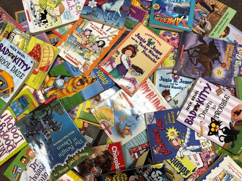 Lot of 30 kids young instant library chapter books bundle paperback - GOOD gallery