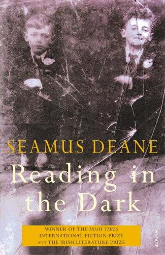 READING IN THE DARK By Seamus Deane **Mint Condition**