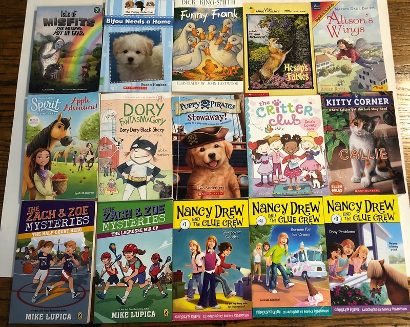 Lot Of 15 Chapter Books Girls Interest Grades 1st-3rd