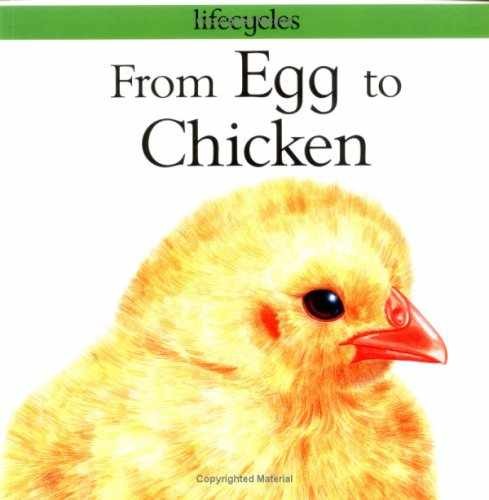 From Egg to Chicken (Lifecycles) – Paperback, by Legg Gerald – Very Good