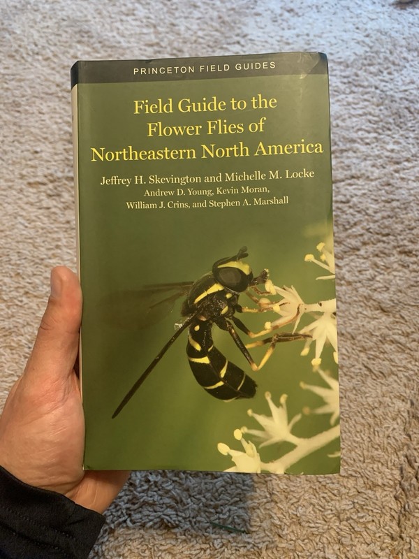 Field Guide to the Flower Flies of Northeastern North America
