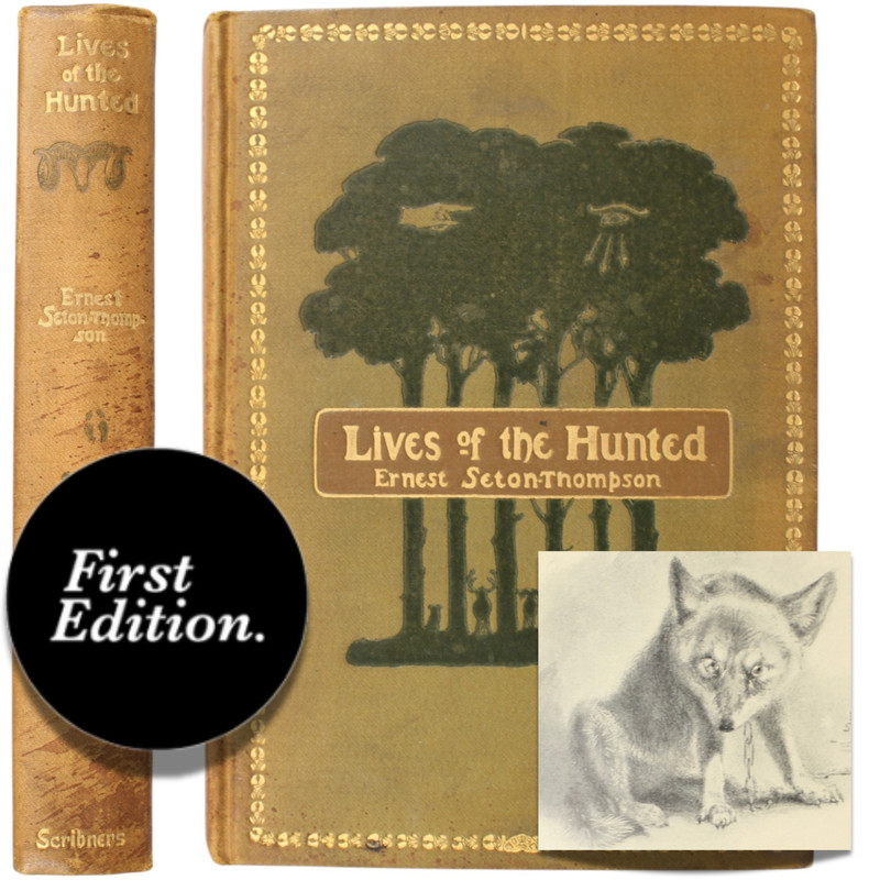 Conservation Wildlife Ernest Seton-Thompson Lives Hunted 1901 1st Boy Scout BSA